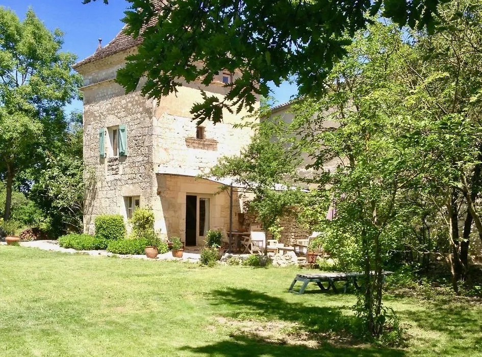 Villa Mas-1